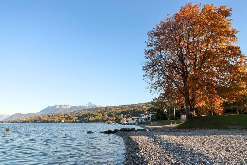 L'escale Du Leman Apartment Publier