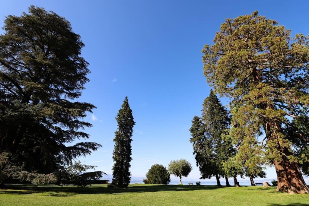 L'escale Du Leman *